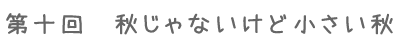��\��@�H����Ȃ����Ǐ������H