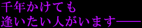 「千年かけても 逢いたい人がいます」