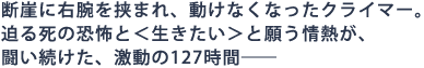 断崖に右腕を挟まれ、動けなくなったクライマー。
迫る死の恐怖と<生きたい>と願う情熱が、
闘い続けた、激動の127時間――