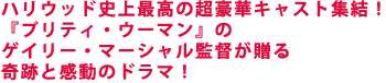 ハリウッド史上最高の超豪華キャスト集結!
『プリティ・ウーマン』のゲイリー・マーシャル監督が贈る
奇跡と感動のドラマ!