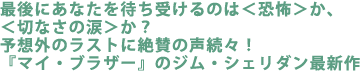 最後にあなたを待ち受けるのは<恐怖>か、<切なさの涙>か?
予想外のラストに絶賛の声続々!
『マイ・ブラザー』のジム・シェリダン最新作