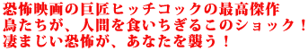 恐怖映画の巨匠ヒッチコックの最高傑作
鳥たちが、人間を食いちぎるこのショック!
凄まじい恐怖が、あなたを襲う!