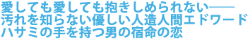 愛しても愛しても抱きしめられない――
汚れを知らない優しい人造人間エドワード
ハサミの手を持つ男の宿命の恋