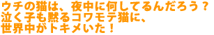 �E�`�̔L�́A�钆�ɉ����Ă�񂾂낤�H
�����q���ق�R�����e�L�ɁA
���E�����g�L�������I
