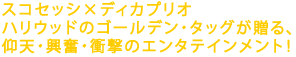 スコセッシ×ディカプリオ
ハリウッドのゴールデン・タッグが贈る、
仰天・興奮・衝撃のエンタテインメント!