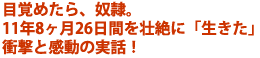 目覚めたら、奴隷。
11年8ヶ月26日間を壮絶に「生きた」
衝撃と感動の実話!