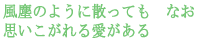 ���o�̂悤�ɎU���Ă��@�Ȃ�
�v��������鈤������ 