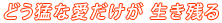 �ǂ��҂Ȉ��������@�����c��