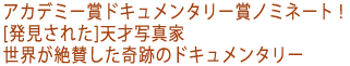 �A�J�f�~�[�܃h�L�������^���[�܃m�~�l�[�g�I
[�������ꂽ]�V�ˎʐ^��
���E����^������Ղ̃h�L�������^���[