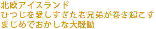 �k���A�C�X�����h
�Ђ��������������V�Z�킪�����N����
�܂��߂ł������ȑ呛��