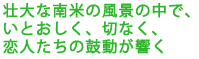 壮大な南米の風景の中で、
いとおしく、切なく、
恋人たちの鼓動が響く
