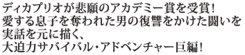 ディカプリオが悲願のアカデミー賞を受賞!
愛する息子を奪われた男の復讐をかけた闘いを
実話を元に描く、
大迫力サバイバル・アドベンチャー巨編!