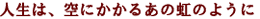 tx6