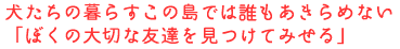 �������̕�炷���̓��ł͒N��������߂Ȃ�
�u�ڂ��̑�؂ȗF�B�������Ă݂���v